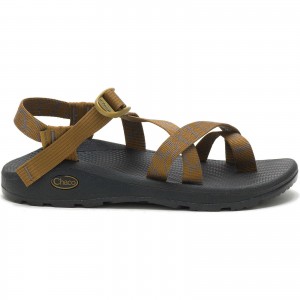 Brown Chacos Z/Cloud 2 Cushioned Sandal | PZD-849125