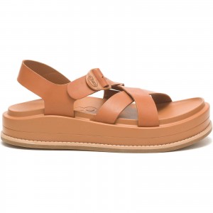 Cashew Chacos Townes Midform Sandal | HZI-738190