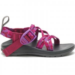 Fuchsia Chacos ZX/1 EcoTread Sandal | LST-041695