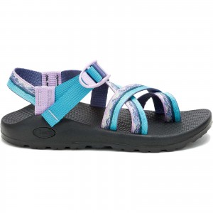 Grey Blue Chacos Z/2 Classic Landscapes USA Sandal | ZSM-891462