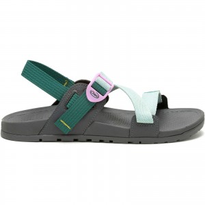 Surf Spray Chacos Lowdown Sandal | NCZ-831062