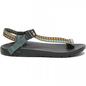 Wedge Dark Forest Chacos Bodhi Sandal | PVG-871345